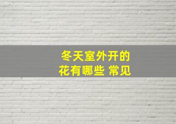 冬天室外开的花有哪些 常见